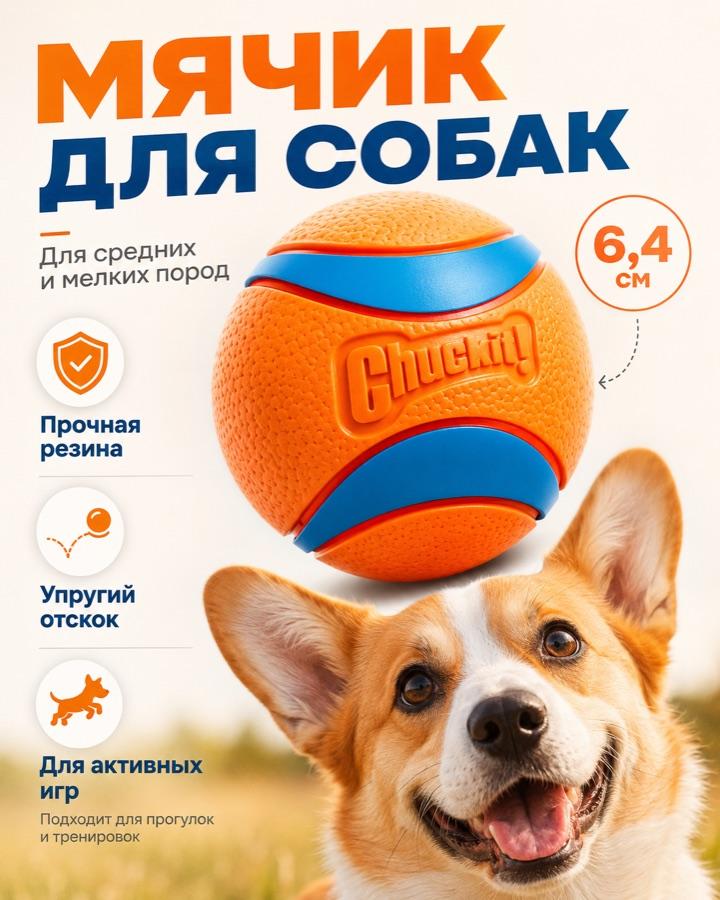 Инфографика: мячик для собак